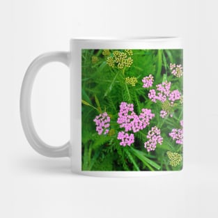 Glen Haven Wildflower Study 2 Mug